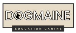 Logo Dogmaine