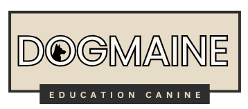 Logo Dogmaine