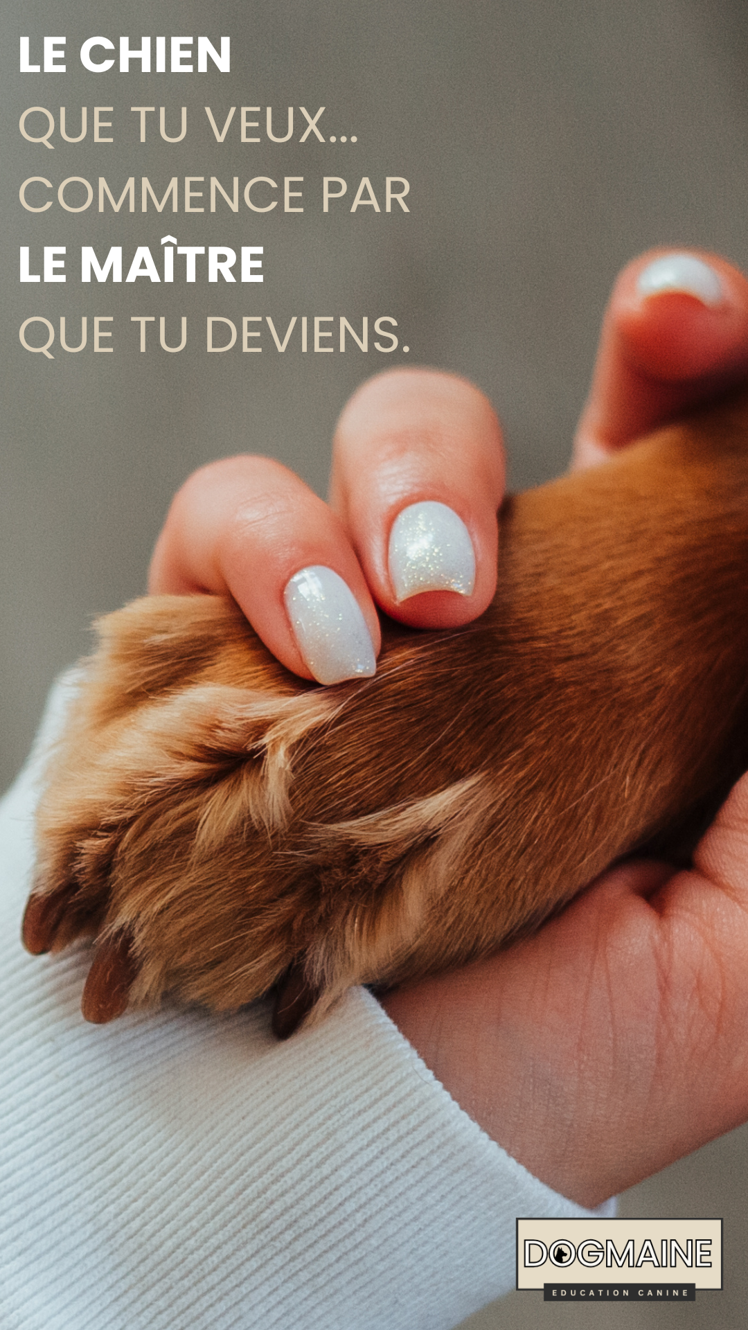 Notre vision chez Dogmaine
